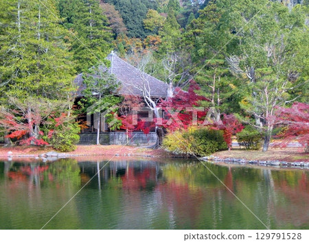 秋色中的白水阿彌陀堂 2011 129791528