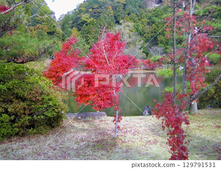 秋色中的白水阿彌陀堂 2011 129791531