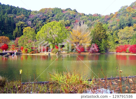 秋色中的白水阿彌陀堂 2011 129791586