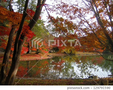 秋色中的白水阿彌陀堂 2011 129791590