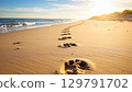 Footprints in sand lead towards ocean, illuminated by warm sunset. tranquil scene evokes sense of peace and connection with nature, inviting reflection and serenity 129791702