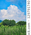 Summer blue sky, white clouds and green plants 129791740