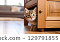 Curious kitten peeking from behind wooden furniture, showcasing its playful nature and striking features. warm wooden tones and soft background create cozy atmosphere 129791855