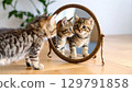 Playful kitten gazes at its reflection in vintage mirror, showcasing curiosity and innocence. warm wooden floor and soft lighting enhance charming scene 129791858