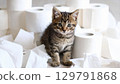 Playful kitten sits amidst chaotic scene of scattered toilet paper rolls and torn sheets, showcasing its curious expression and adorable features 129791868