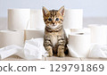Playful kitten sits among rolls of toilet paper, surrounded by crumpled tissues, creating charming and humorous scene. kitten curious expression adds to lighthearted atmosphere 129791869
