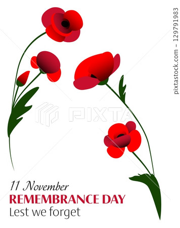 Vector illustration of remembrance day vertical poster with two bunch of red poppy flowers on white and black background 129791983