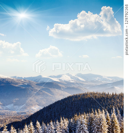 winter winter 129792168