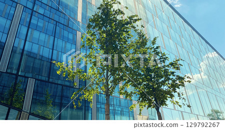 Office building. Glass skyscrapers in business center. Architecture, commercial real estate 129792267