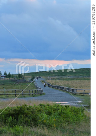 Walking path in Utsukushigahara Plateau, blue sky and clouds, Nagano 129792299