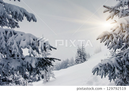 winter winter 129792519