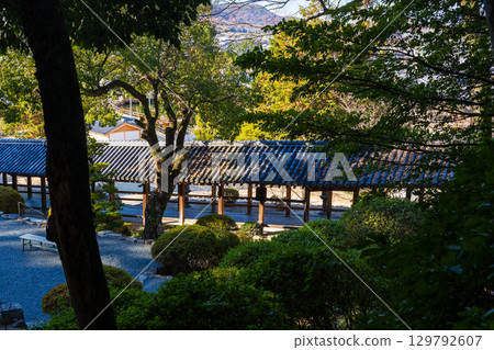 岡山縣岡山市的冬天，三美一宮吉備津神社迴廊 129792607