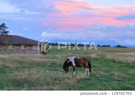 信州夏季美原高原牧場 信州夏季美原高原牧場 129792703