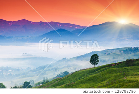 sunset sunset 129792786