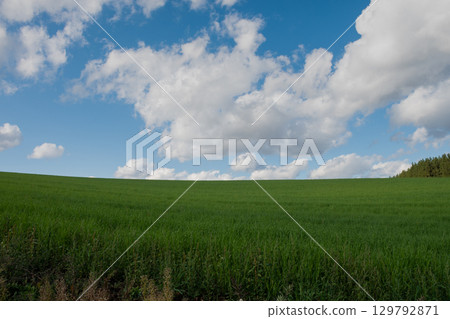 Autumn green meadow and blue sky 129792871
