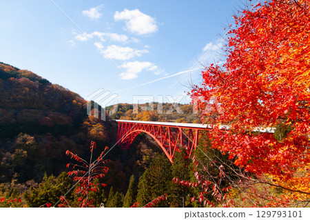 Orochi Loop and autumn leaves in Okuizumo, Orochi Loop trolley train 129793101
