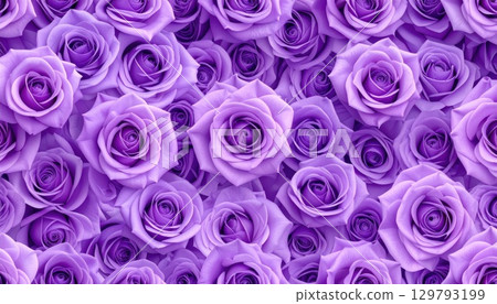 《AI Image》A field of purple roses 129793199