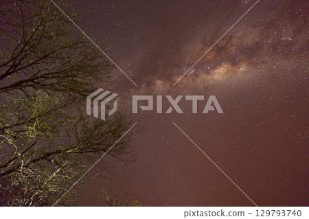 非洲星空與樹木的輪廓 非洲星空與樹木的輪廓 129793740