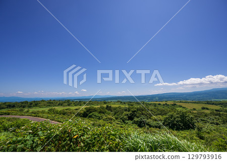 Early summer scenery of Nikaho Plateau 129793916