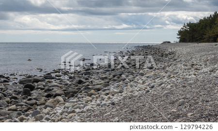 Rocky beach at the Baltic Sea on northern Oland island, Sweden. 129794226