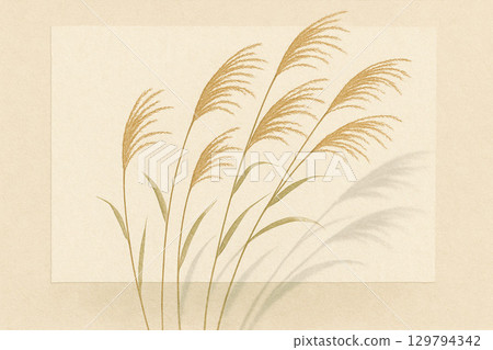 Japanese pampas grass series: silhouette of Japanese pampas grass on Japanese paper 129794342