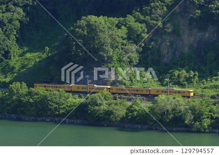 Takahashi River in early summer and the Hakubi Line 115 series train (four-car train: one-man train) 129794557