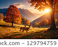 a group of deer grazing 129794759