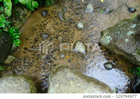 兼六園溪流踏腳石 129794977