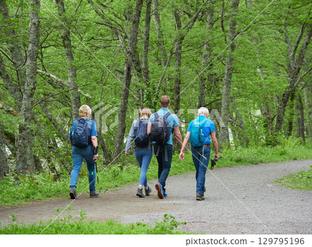 Tourists hiking along a forest trail in Kamikochi, a popular tourist spot in summer Tourists hiking along a forest trail in Kamikochi, a popular tourist spot in summer 129795196