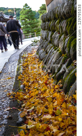Ginkgo 129795838