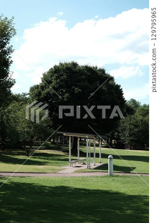 The lush green scenery of Fugan Canal Kansui Park The lush green scenery of Fugan Canal Kansui Park 129795965