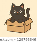 A cat in a box 129796646