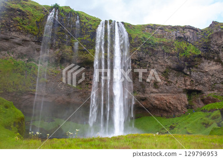 Seljalandsfoss waterfall cascades beautifully in Iceland's lush landscape Seljalandsfoss waterfall cascades beautifully in Iceland's lush landscape 129796953
