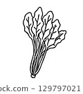 可愛的手繪菠菜圖像插圖 129797021