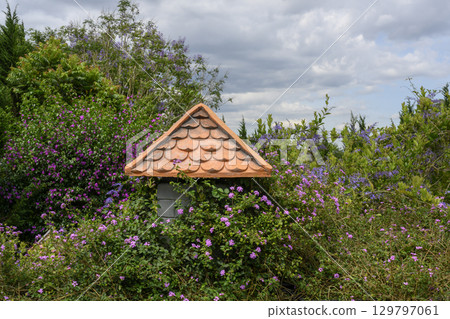 Tiled roof in a tropical garden with flowers in Vietnam Tiled roof in a tropical garden with flowers in Vietnam 129797061