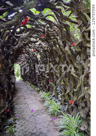 An alley covered with trunks of fabulous trees in Fairytale Land Park 129797099