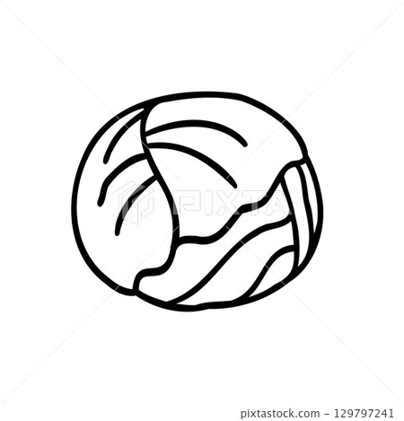 可愛的手繪捲心菜圖像插圖 可愛的手繪捲心菜圖像插圖 129797241