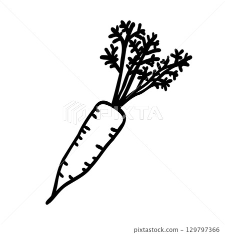 Cute hand-drawn carrot image illustration 129797366