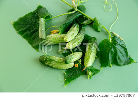 Vegetable composition cucumbers branches and flowers for culinary advertising Vegetable composition cucumbers branches and flowers for culinary advertising 129797807