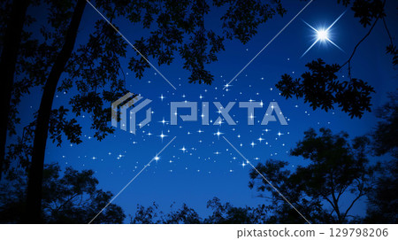 A deep blue night sky reveals brilliant stars twinkling above lush trees 129798206
