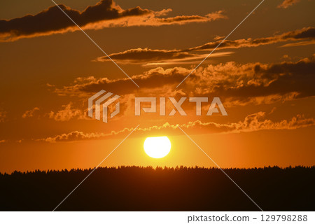 A bright sunset against a forest background. Dark forest and setting sun. Red sunset in summer. 129798288