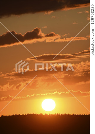 A bright sunset against a forest background. Dark forest and setting sun. Red sunset in summer. A bright sunset against a forest background. Dark forest and setting sun. Red sunset in summer. 129798289