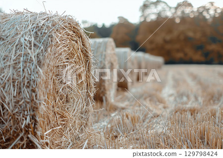 Autumn Hayrides in Countryside with Cozy Fall Vibes. 129798424