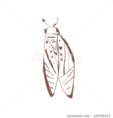 Hand drawn moth with abstract wings insect line art for boho tattoo sticker stationery poster and vintage decoration Vector illustration 129798474