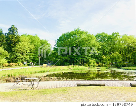 綠樹成蔭、藍天白雲的公園 綠樹成蔭、藍天白雲的公園 129798749