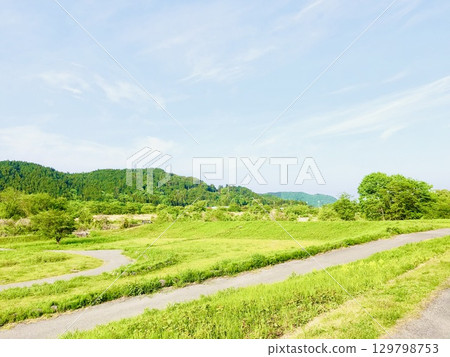 A refreshing green riverside scene A refreshing green riverside scene 129798753