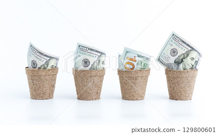 Money Growth Concept Hundred Dollar Bills in Pots Symbolizing Financial Investment and Returns Money Growth Concept Hundred Dollar Bills in Pots Symbolizing Financial Investment and Returns 129800601