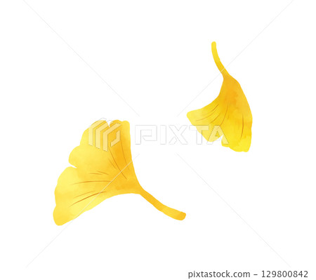 銀杏水彩畫 銀杏水彩畫 129800842