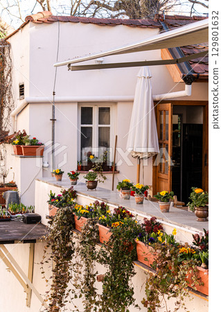 Rural yard with flowering plants Rural yard with flowering plants 129801632