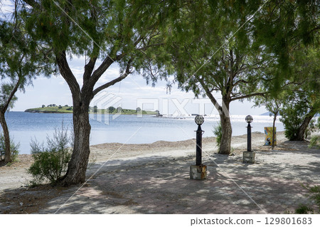 A serene beach scene with two black lamp posts with glass globes on top, positioned on the sandy shore near the water. The lamp posts are placed on concrete bases, and the area is surrounded by lush A serene beach scene with two black lamp posts with glass globes on top, positioned on the sandy shore near the water. The lamp posts are placed on concrete bases, and the area is surrounded by lush 129801683